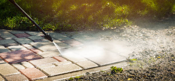 Solar Panel Cleaning in Whitaker, PA